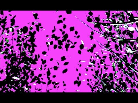 NOMADIIIk & DAMIAN SIMMONS ~ Patience