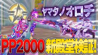 話題の新殿堂PP2000使ったら強すぎて全盛期の近距離帰ってきたwww【荒野行動】