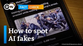 Fact Check: How to spot AI images?