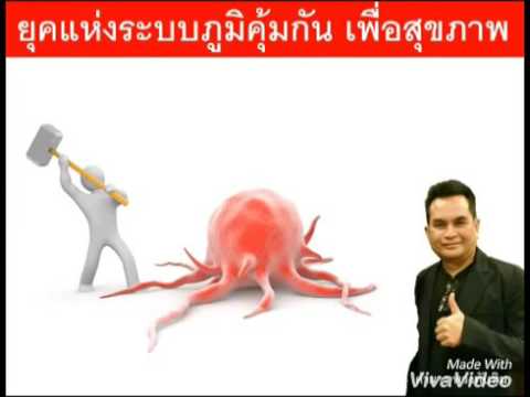 วางค้อนของการกระทำของพรู Pronoran และความแข็งแรง