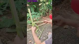 Download lagu #SHORTS | Banana Leaf Weapon 🤩 mp3