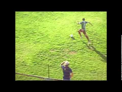 CSE 1X0 MURICI   DAVID   2014