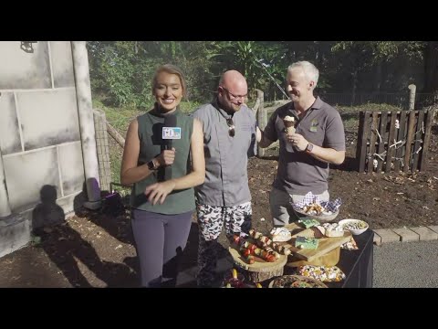 Boo! at the Zoo offers some yummy snacks! - YouTube