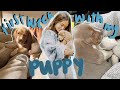 FIRST WEEK WITH MY PUPPY Realities Of Getting A Puppy