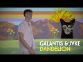 Galantis & JVKE - Dandelion [Official Lyric Video]