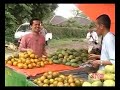 KELAKAR PALEMBANG JERUK MASEM