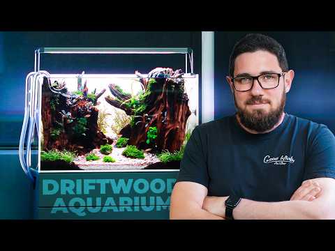 Creating an UNDERWATER FOREST in 60 liters