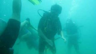 preview picture of video 'Diving, Phu Quoc Island'