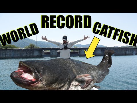 Hunting the DAM MONSTER (Short Documentary) World Record Catfish in Historical Deep Lake!