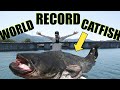 Hunting The DAM MONSTER Short Documentary World Record Catfish In Historical Deep Lake