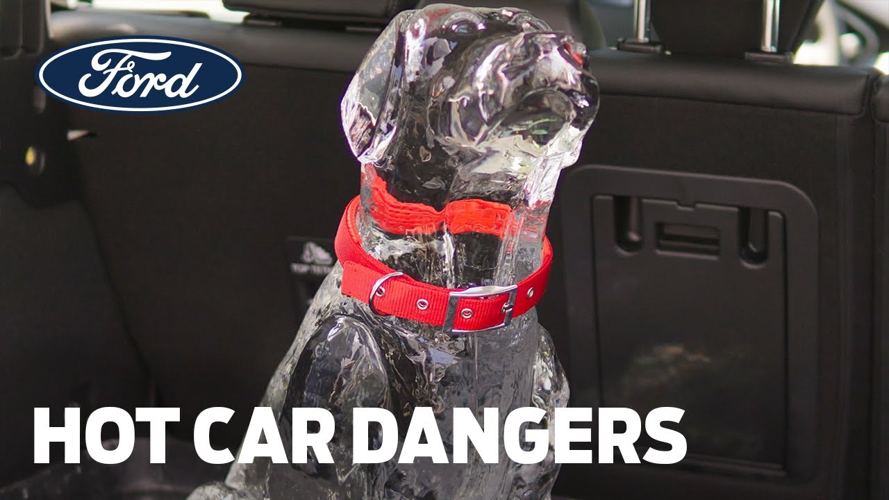 Ford Shows How Leaving Children or Pets in Hot Cars Can Lead to Tragedy