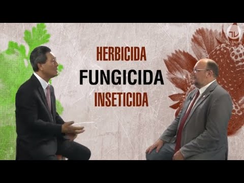 Luiz Nishimori x João Daniel debatem legislação de agrotóxicos do Brasil