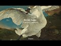 Pyotr Ilyich Tchaikovsky Swan Lake