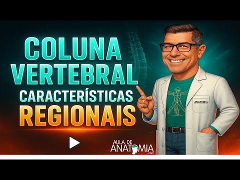 REGIONAL CHARACTERISTICS OF THE SPINE #anatomy #physiotherapy #medicine #doctor #quiron