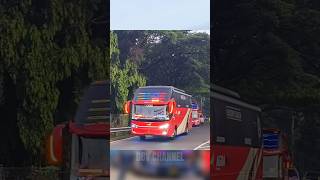 Download lagu KONVOI 2 AGRA MAS MEMASUKI TOL JORR... #shorts #agramas #busmania mp3 Download lagu KONVOI 2 AGRA MAS MEMASUKI TOL JORR... #shorts #agramas #busmania mp3
