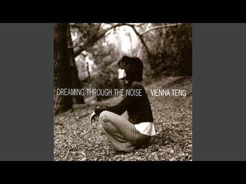 Whatever You Want - Vienna Teng