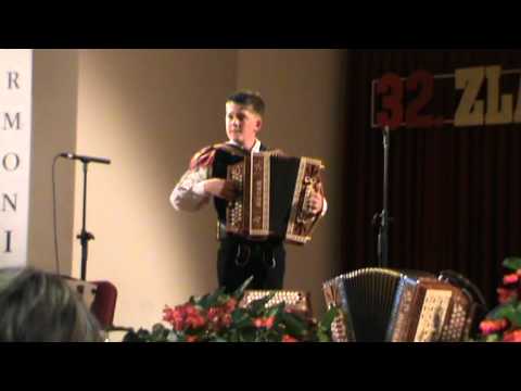 GAŠPER CESTNIK  - Venček Ahačičevih.....