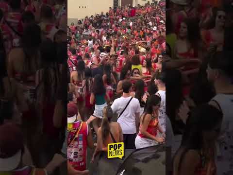 Bloco dos Ursos completa 7 anos e promete animar o Carnaval de São Tiago em 2026