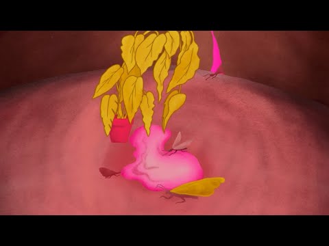 Sergio Díaz De Rojas - Trance (Official Visualizer)