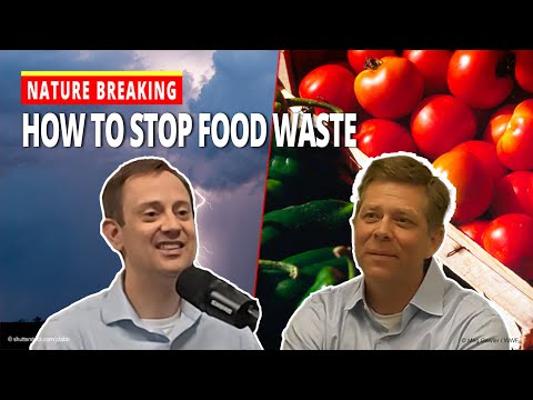 Food Waste Solutions: Expert Tips to Keep Food Out of Landfills and Save Money