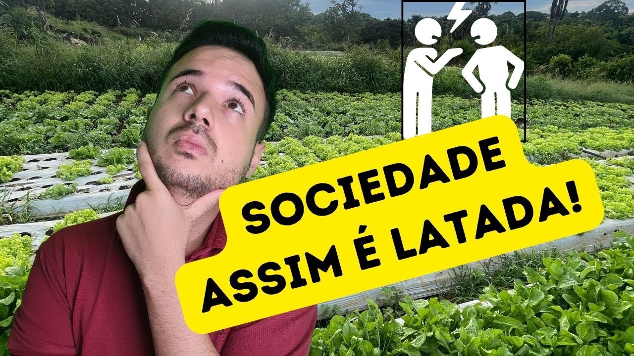 Quando compensa ter sócio na horta? É um bom negócio ter sócio na horta?