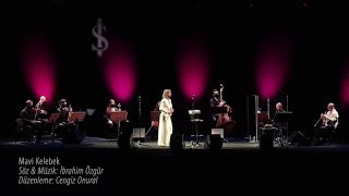 Dilek Türkan - Mavi Kelebek