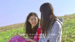 이게 최후래도 반짝이고 싶어 ✨ 도쿄지헨 (東京事変) - 섬광소녀 (閃光少女) [가사/해석/lyrics]
