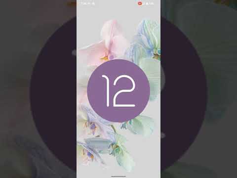 How To Install Pixel Experience Android 12 On your Nokia 6.1 Plus
