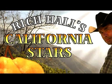 Rich Hall's California Stars (2014) HD BBC4 [English subs]
