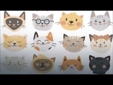 Daria Domitrz - Dziwna Kocia Noc