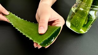 Aloe Vera is 150 times stronger than collagen! Strengthens joints, bones and muscles!