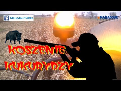 Wpadać na wodniaka stóp Taping w koślawego u dzieci