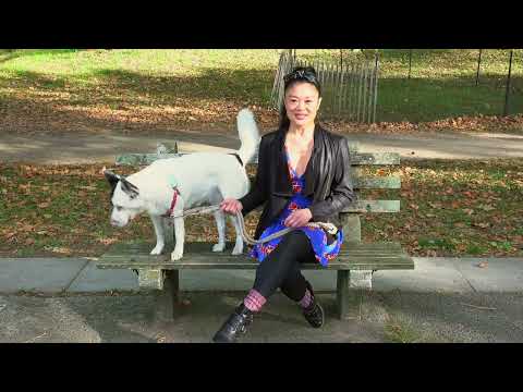 'Chicago' Cast Member Kristen Faith Oei Introduces Her Puppy Pal, Easter - YouTube