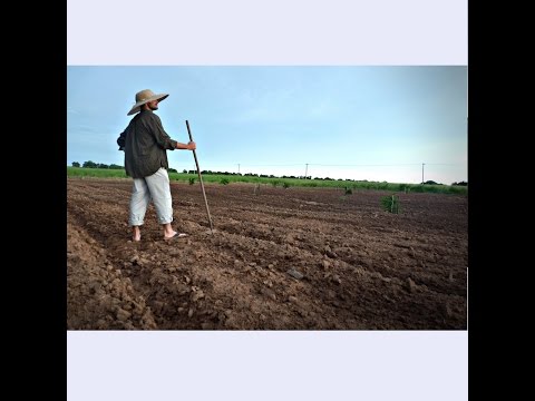 Ekj woa schaufen - ExaltaJesus Band