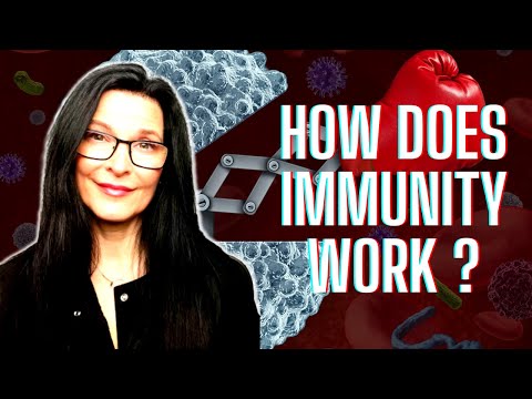 The Immune System Crash Course: How Your Body's Defense System Works