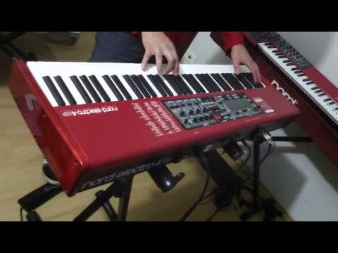 Immagine Nord Electro 4 HP73 Hammer-Action 73-Key Digital Piano - 11