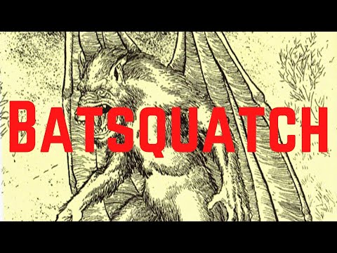 Batsquatch | Cryptid Profile #01