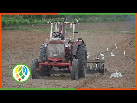 Consolación del Sur implementa la Ley de Seguridad y Soberanía Alimentaria
