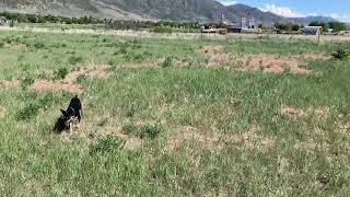 The Front Porch View