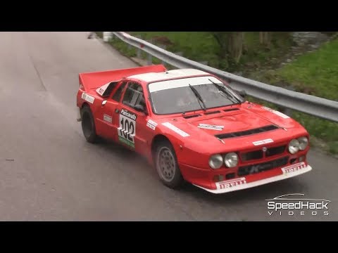 33. Rally Piancavallo 2019 | Highlights