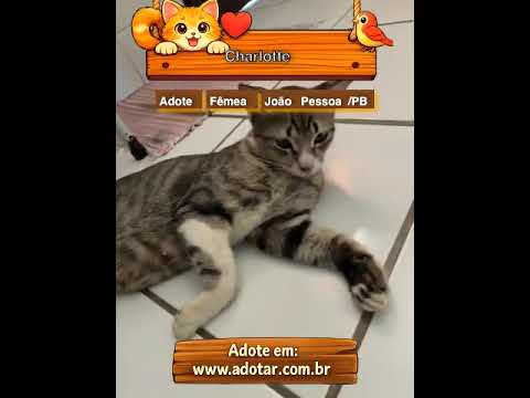Vídeo de Charlotte