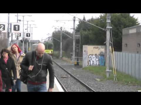 Dart Bayside Station.