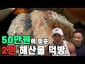 민어 붉바리 고등어 성게 멍게 뿔소라 해삼 딱새우 키조개 개불 먹방 (feat.황철순)