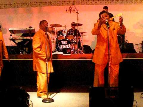 THE EDSELS, LIVE SHOW  APRIL 2008