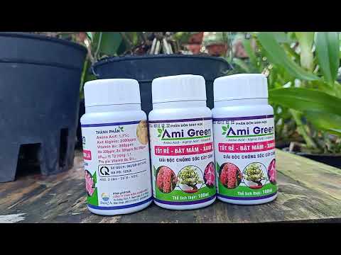 Thông tin về phân bón Amigreen giải độc chống sốc cây lan hoa kiểng
