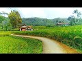 SUNGGUH INDAH! Pemandangan Alam Tasikmalaya, Suasana Pedesaan Jawa Barat, Beautiful Village Atmosfer