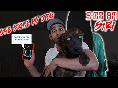 (SIRI TOOK MY DOG) DO NOT TALK TO SIRI AT 3:00 AM | SIRI CONTACTED ME AT 3 AM AND STOLE MY DOG Video
