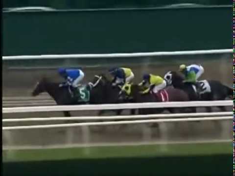Godolphin Greats - 13 - MUSIC NOTE - G1 GAZELLE STAKES