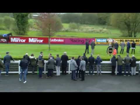 Samcro hoses up in a Beginners chase at Down Royal 2019