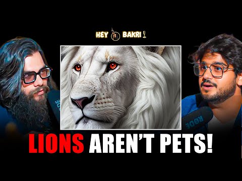 From cats in Greece to lions in Pakistan The pet problem